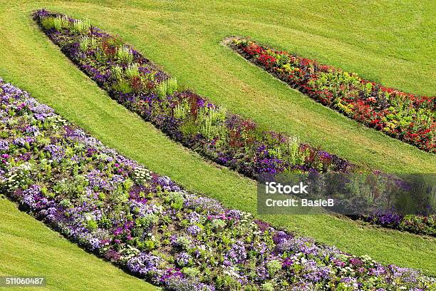 Flower Garden Im Sommer Stockfoto und mehr Bilder von Petunie - Petunie, Studentenblume, Blume