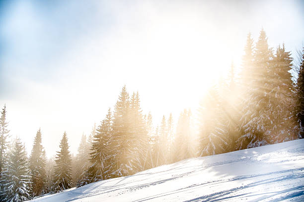 istock snowy mountains in winter 511061796