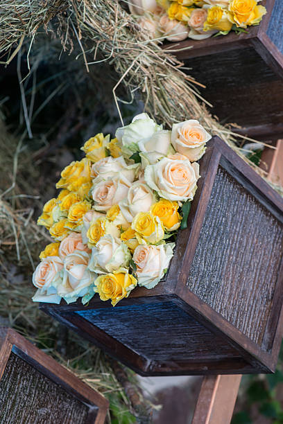 Beauty of roses Nice wooden box with wonderful yellow and white roses can decorate any of your houses interlace format stock pictures, royalty-free photos & images