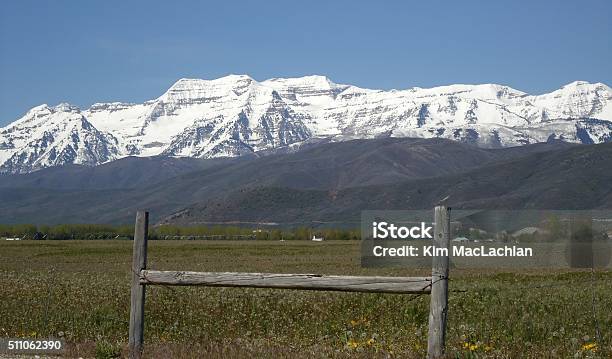 Timpanogos Stock Photo - Download Image Now - Utah, Agricultural Field, Midway - Utah