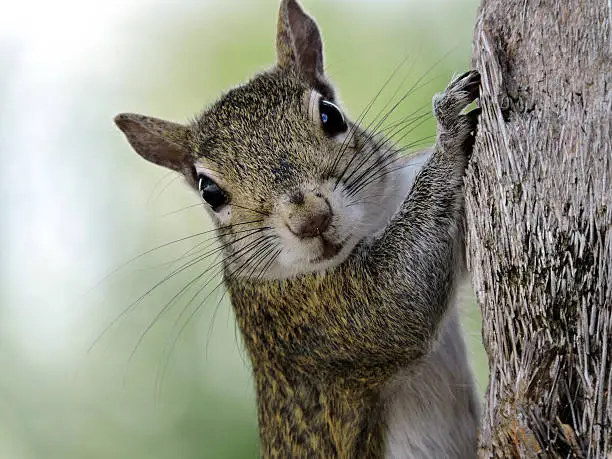 Photo of Eye Contact