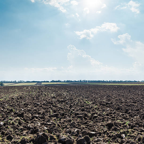 istock sun in clouds over black field after harvesting 511063505