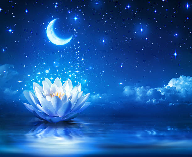 conte de fées magique bleu et fond de lis et de la lune - lotus single flower lily water lily photos et images de collection