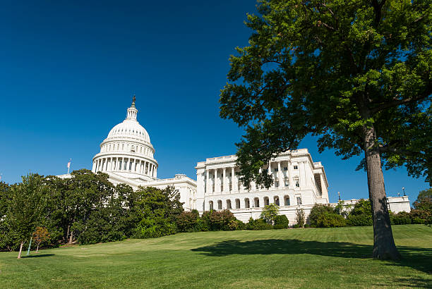 The US Capitol stock photo