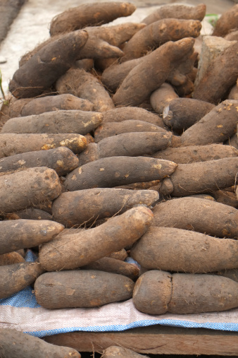 Yam to be sold along the highway between Yamoussoukro and Abidjan