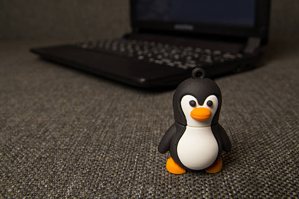 Small Tux Toy at Blurred Notebook Background.