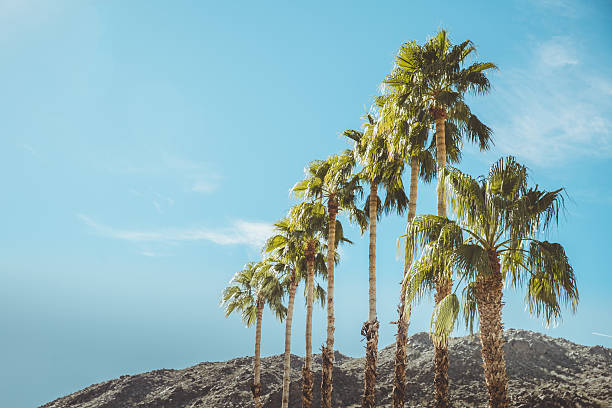 Palm Springs Vintage Mountains Palm Trees and Sky Shot of mountains surrounding Palm Springs California with Palm Trees being the focal point of the image. Vintage style image meant to portray the re-birth of Palm Springs and it's modernism and style. coachella valley photos stock pictures, royalty-free photos & images