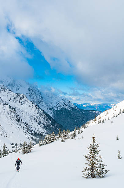 istock Winter Landscape with Snow and Trees 511065593