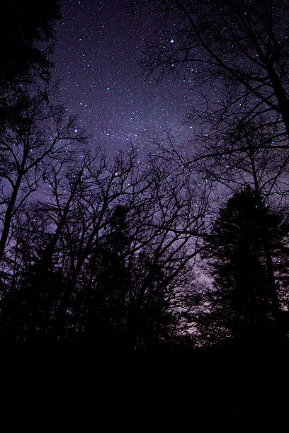 istock Millions of Stars 511066638