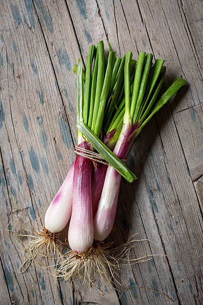 istock Bunch of onion bound by rope 511069704