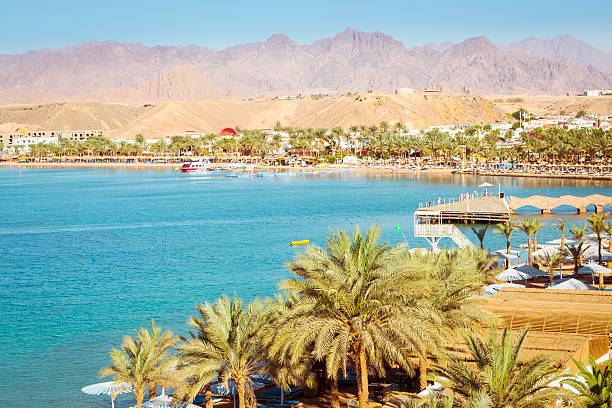 istock February day on the beach in Sharm El Sheikh 511070114
