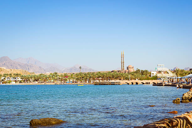 de fevereiro dia na praia em sharm el sheik - beach tropical climate palm tree deck chair - fotografias e filmes do acervo