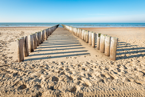 Two parallel rows of weathered wooden poles and their shadows on a sunny Dutch beach in winter. It is low tide now.