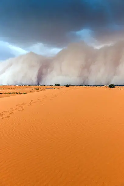 Sandstorm comming fast towards Merzouga in Erg Chebbi Desert, Morocco, Africa. Thin green line is the settlement.Nikon D3x