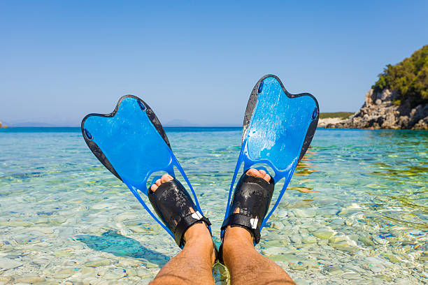 istock Swimming in the sea 511073794