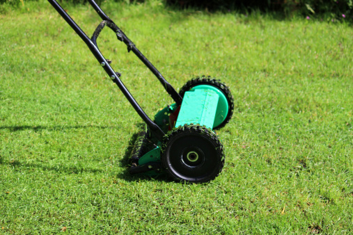 Photo showing a gardener mowing the lawn with a red and green push lawnmower / metal cylinder mower.  The fine lawn grass is regularly mowed short, with the rear roller on the mower leaving stripes on the grass.  The lawn is particularly green, as it has recently been fed and is watered with a sprinkler during periods of hot and dry weather.