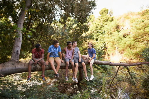 Shot of a group of boys sitting together on the branch of a tree