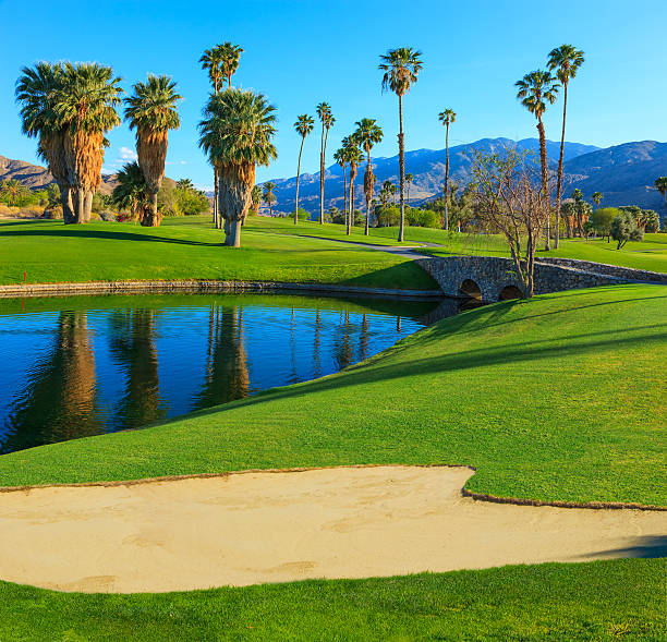 поле для гольфа, расположенных в палм-спрингс, штат калифорния - lawn desert golf california стоковые фото и изображения