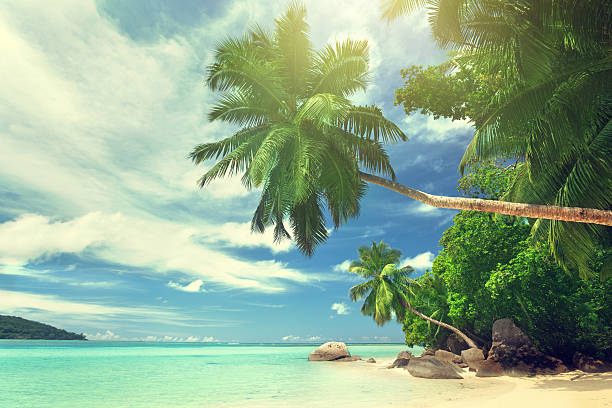 istock beach on Mahe island, Seychelles 511094339