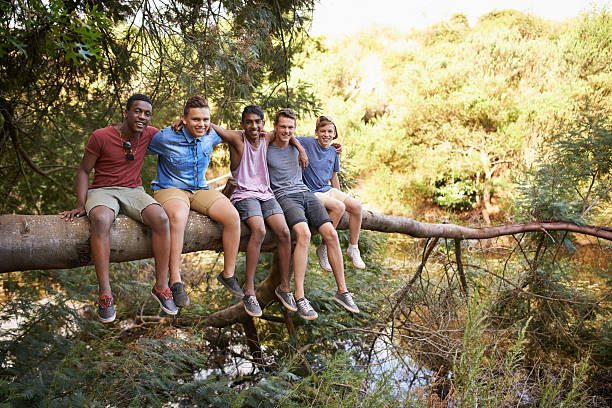 istock We should build a treehouse up here 511095915