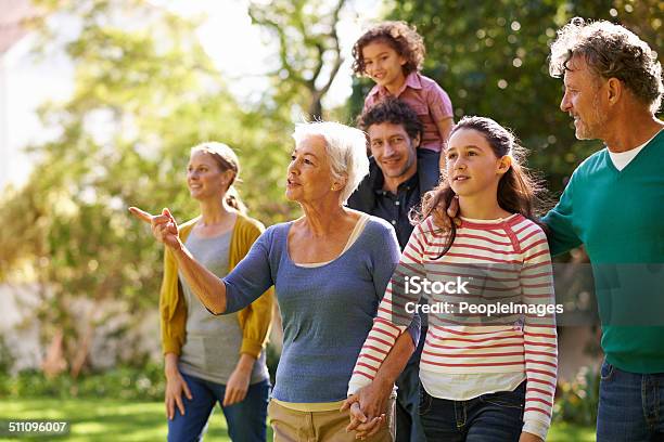 Family Gathering Stock Photo - Download Image Now - Multi-Generation Family, Teenager, Family