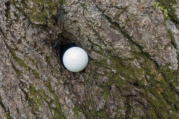 istock unlucky golf shot 511097967