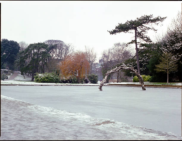 istock art in the park 511098237