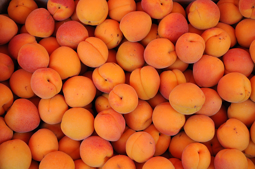 apricot