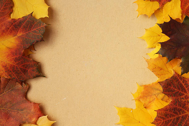 istock Frame of autumn leaves - border design with copy space 511106728