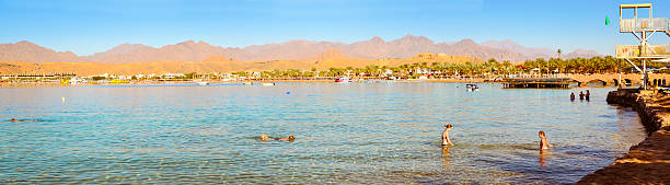 fevereiro dia na praia em sharm el sheikh - beach tropical climate palm tree deck chair imagens e fotografias de stock