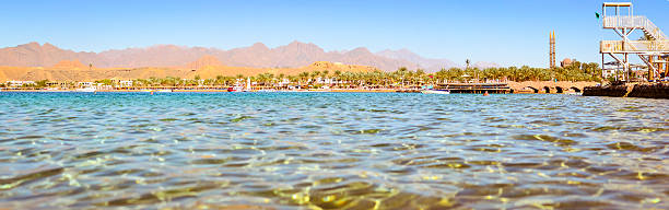 de fevereiro dia na praia em sharm el sheik - beach tropical climate palm tree deck chair - fotografias e filmes do acervo