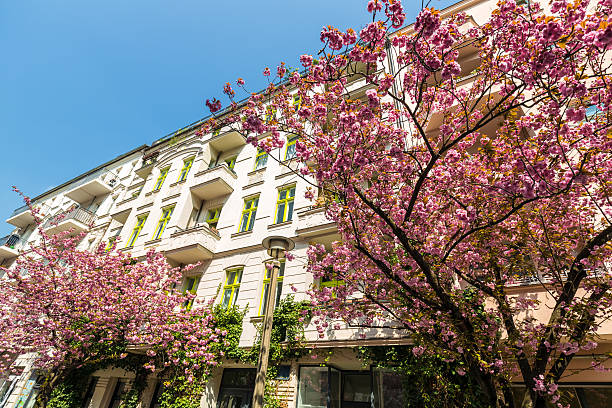 istock Aapartment building in Berlin with cherry trees 511110294