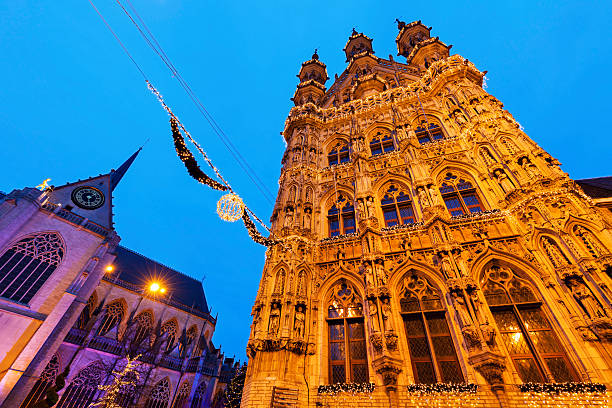 istock Leuven City Hall on Grote Markt 511113658