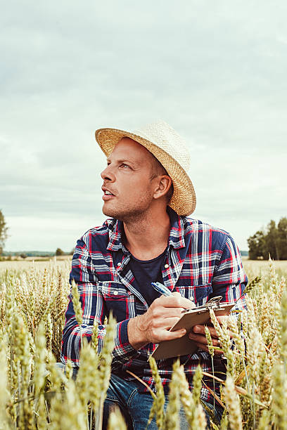 istock Male agronom agriculture worker researching 511114270