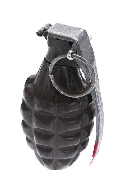 istock Vintage pineapple hand grenade on white background 511117504