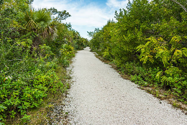 istock Gravel trail through a nature reserve 511117664