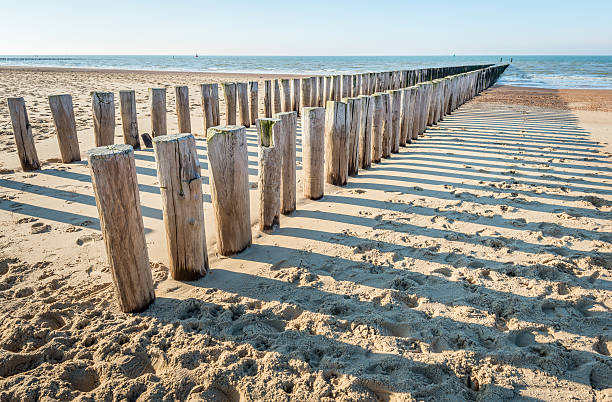 istock Traditional wooden breakwater on an empty Dutch beach 511118870
