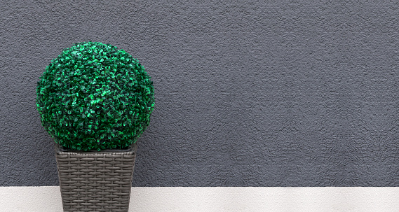 Panorama of an artificial boxwood ball in a brown, braided planter as a decoration in front of a gray and white wall 