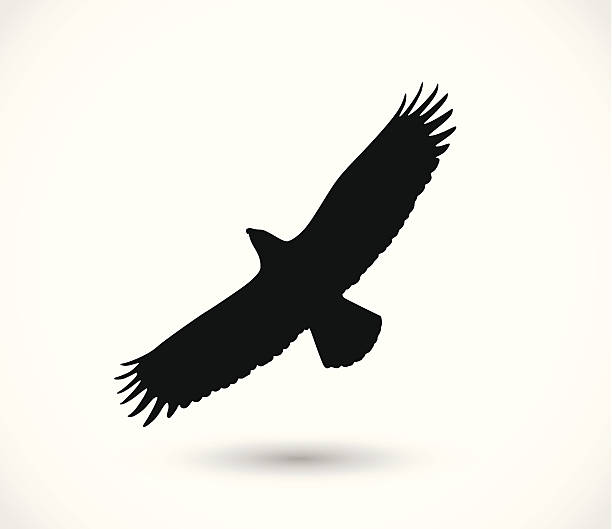 eagle ikona wektor - phoenix tattoo bird wing stock illustrations