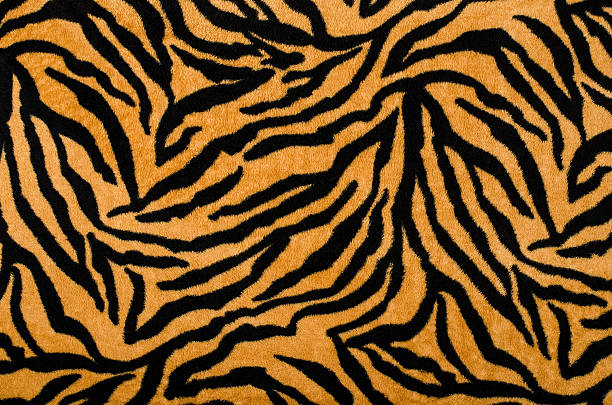 Brown and black tiger pattern. stock photo