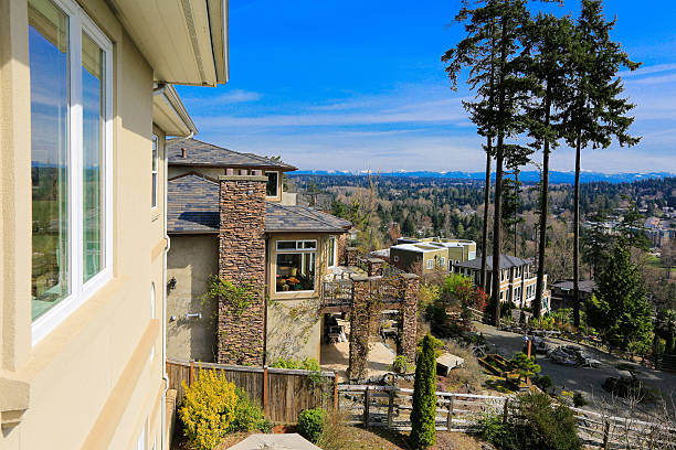 istock Amecian luxury house and scenic skyline view 511139131