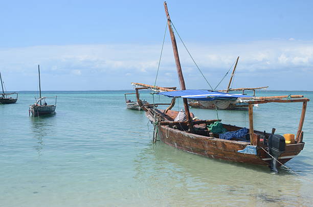 istock Tanzania, Zanzibar 511191014