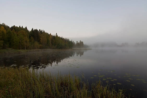 istock Finland, fog on the water. 511191288