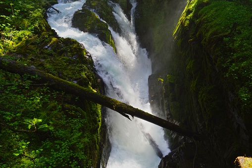 Northwest Washington's Olympic Peninsula.