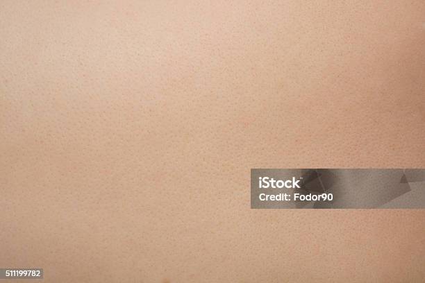 Human Skin Textured Stock Photo - Download Image Now - Textured Effect, Human Skin, Close-up