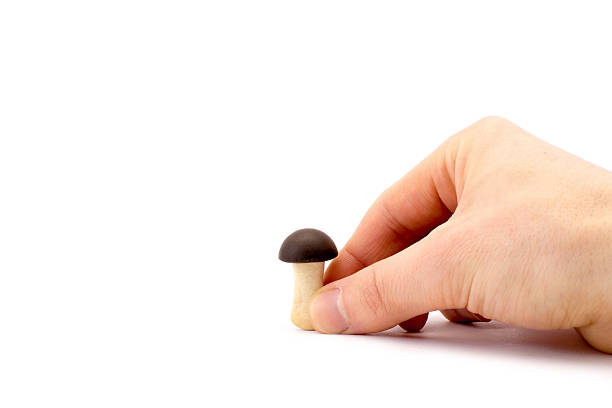 istock hand holds a small chocolate mushroom isolated 511199820