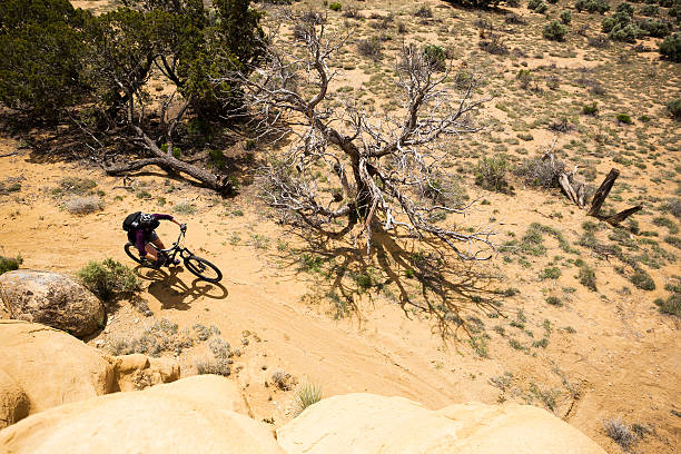 a woman pedals past a tree in the arid desert nature landscape.  vertical wide angle composition taken in gallup, new mexico.