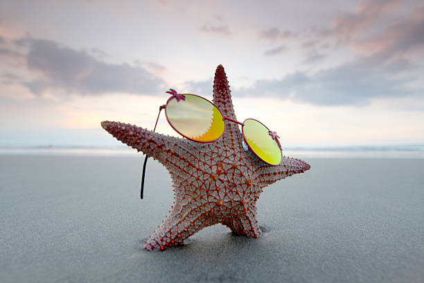 istock Starfish in sunglasses on beach 511203466