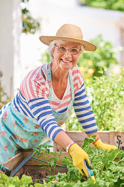 istock Happy senior woman working in her garden 511205014