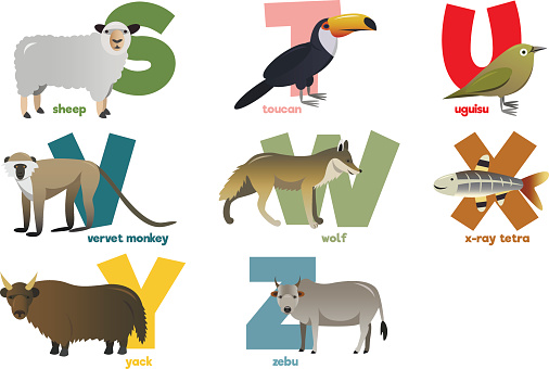 Vector Image Of Alphabet With Animals Stock Illustration - Download Image  Now - Bear, Child, Domestic Cat - iStock
